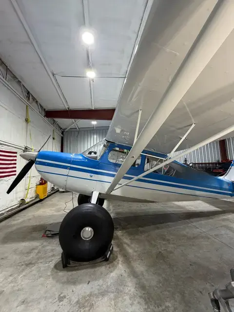 Citabria detailed by Pristine Jets, photo 3 of 12